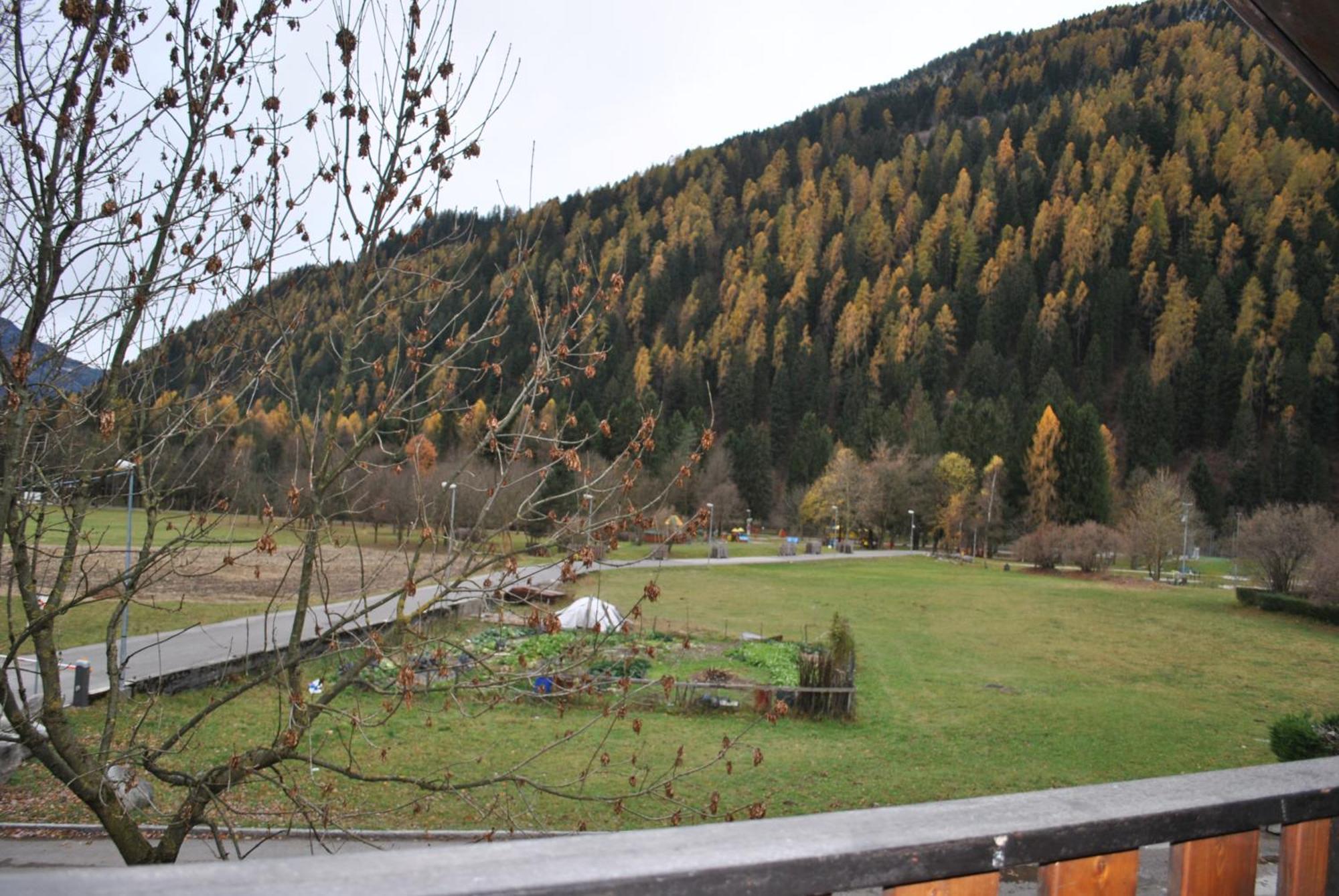 La Pineta - Appartamenti In Villetta بينْسولُ المظهر الخارجي الصورة