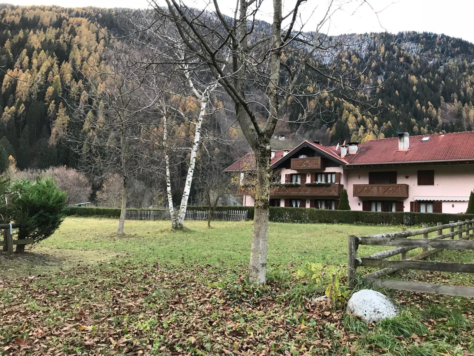 La Pineta - Appartamenti In Villetta بينْسولُ المظهر الخارجي الصورة